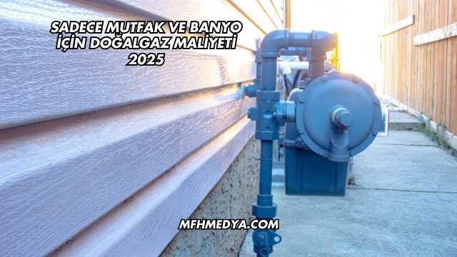 Sadece Mutfak ve Banyo İçin Doğalgaz Maliyeti 2025