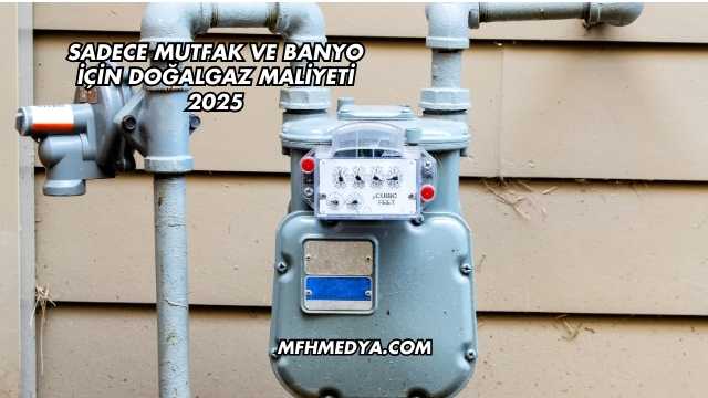 Sadece Mutfak ve Banyo İçin Doğalgaz Maliyeti 2025