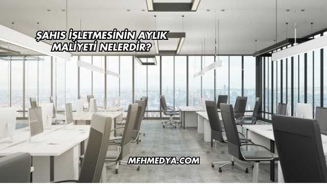 Şahıs İşletmesinin Aylık Maliyeti Nelerdir?