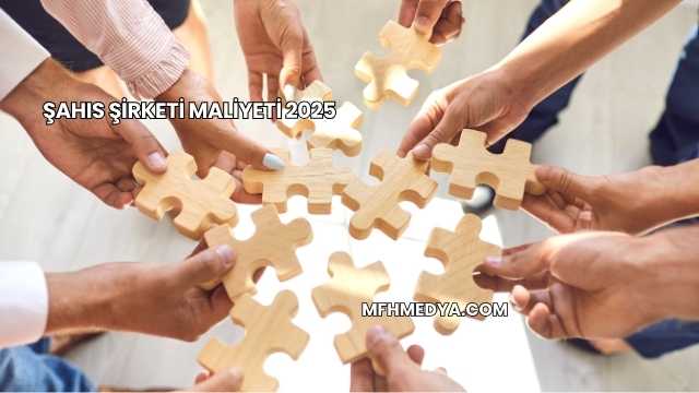 Şahıs Şirketi Maliyeti 2025
