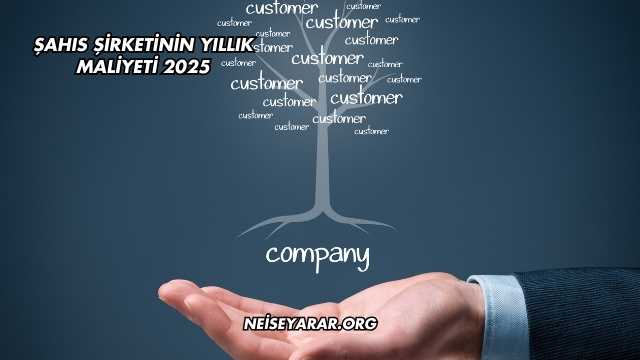 Şahıs Şirketinin Yıllık Maliyeti 2025