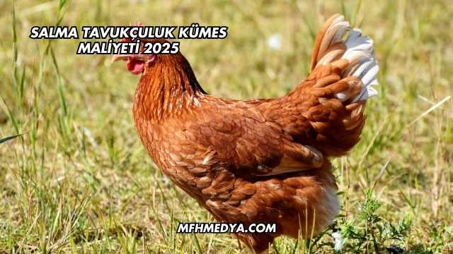 Salma Tavukçuluk Kümes Maliyeti 2025