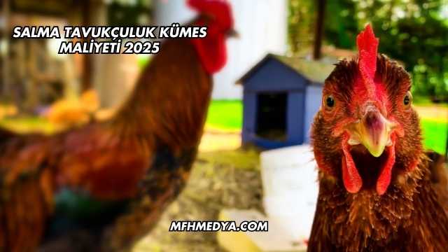 Salma Tavukçuluk Kümes Maliyeti 2025