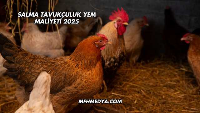 Salma Tavukçuluk Yem Maliyeti 2025
