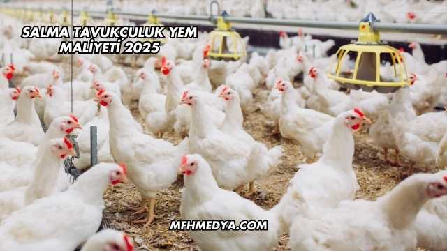 Salma Tavukçuluk Yem Maliyeti 2025