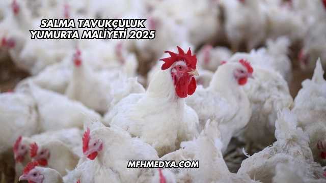 Salma Tavukçuluk Yumurta Maliyeti 2025
