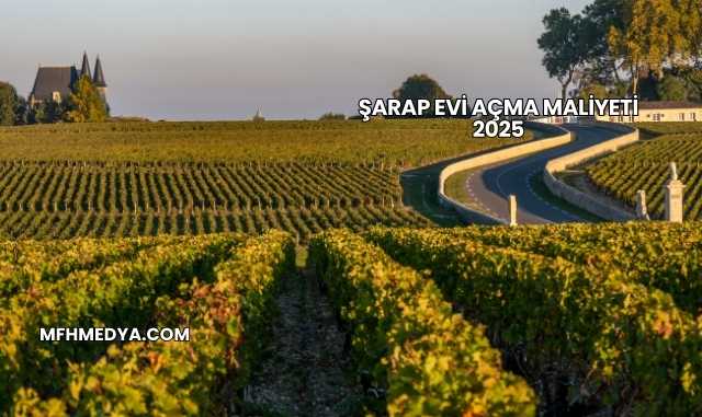 Şarap Evi Açma Maliyeti 2025