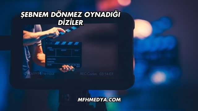 Şebnem Dönmez Oynadığı Diziler