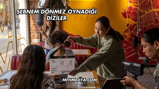 Şebnem Dönmez Oynadığı Diziler