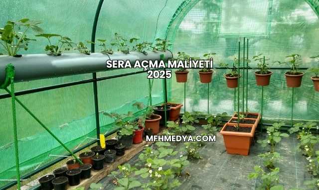 Sera Açma Maliyeti 2025