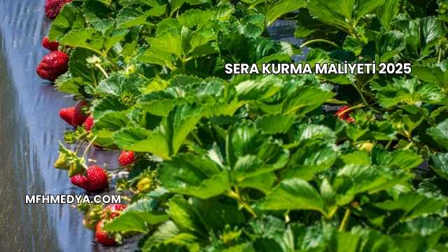 Sera Kurma Maliyeti 2025