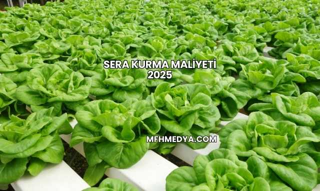 Sera Kurma Maliyeti 2025