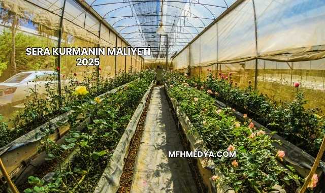 Sera Kurmanın Maliyeti 2025