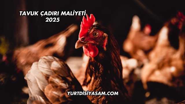 Tavuk Çadırı Maliyeti 2025