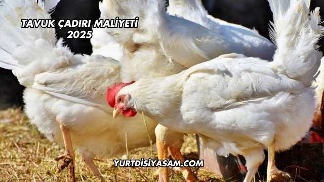 Tavuk Çadırı Maliyeti 2025