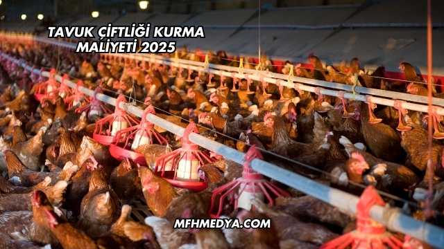 Tavuk Çiftliği Kurma Maliyeti 2025