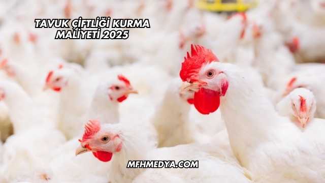 Tavuk Çiftliği Kurma Maliyeti 2025