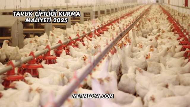 Tavuk Çiftliği Kurma Maliyeti 2025