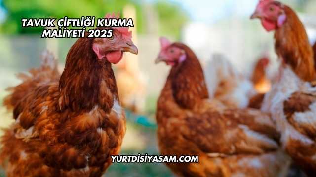 Tavuk Çiftliği Kurma Maliyeti 2025