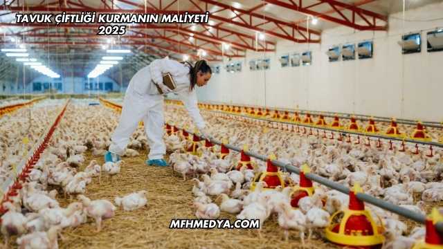 Tavuk Çiftliği Kurmanın Maliyeti 2025