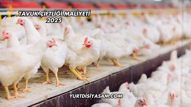 Tavuk Çiftliği Maliyeti 2025