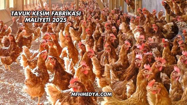 Tavuk Kesim Fabrikası Maliyeti 2025