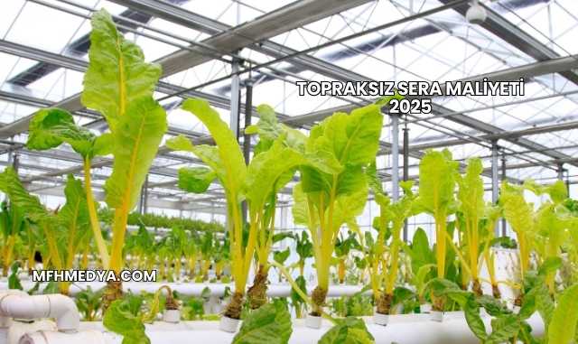 Topraksız Sera Maliyeti 2025