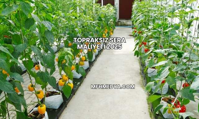 Topraksız Sera Maliyeti 2025