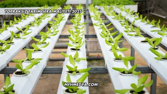 Topraksız Tarım Sera Maliyeti 2025