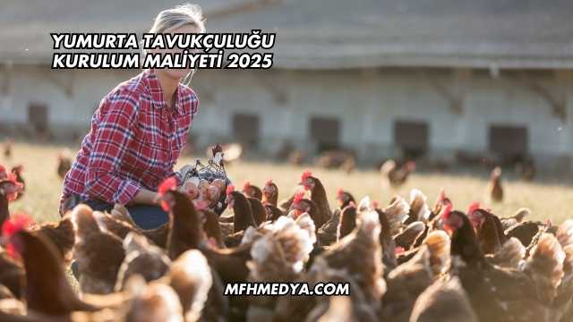 Yumurta Tavukçuluğu Kurulum Maliyeti 2025