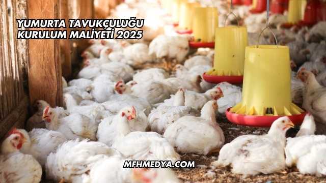 Yumurta Tavukçuluğu Kurulum Maliyeti 2025