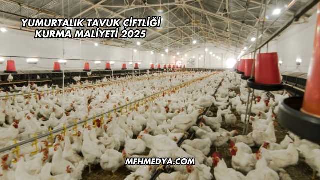Yumurtalık Tavuk Çiftliği Kurma Maliyeti 2025