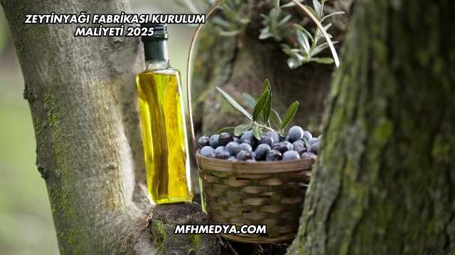 Zeytinyağı Fabrikası Kurulum Maliyeti 2025