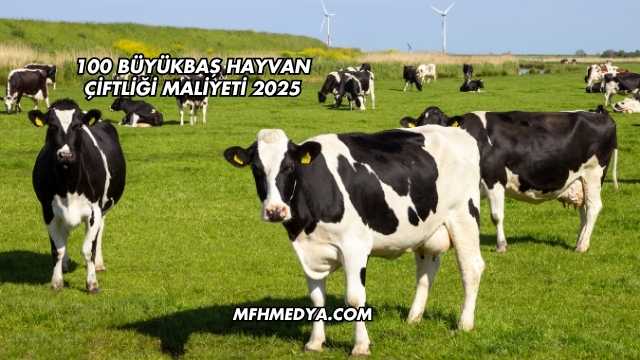 100 Büyükbaş Hayvan Çiftliği Maliyeti 2025