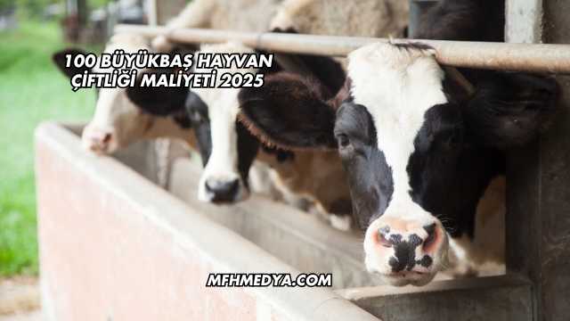 100 Büyükbaş Hayvan Çiftliği Maliyeti 2025