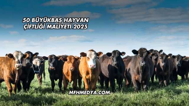 50 Büyükbaş Hayvan Çiftliği Maliyeti 2025