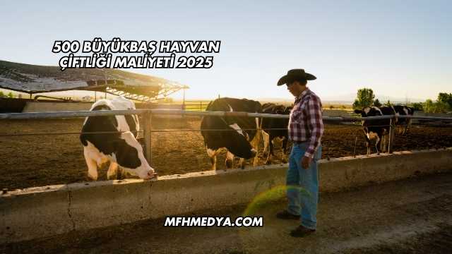 500 Büyükbaş Hayvan Çiftliği Maliyeti 2025