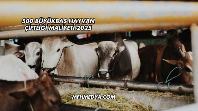 500 Büyükbaş Hayvan Çiftliği Maliyeti 2025