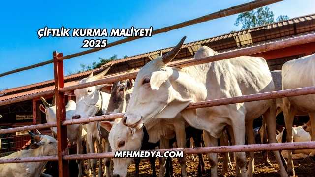 Çiftlik Kurma Maliyeti 2025