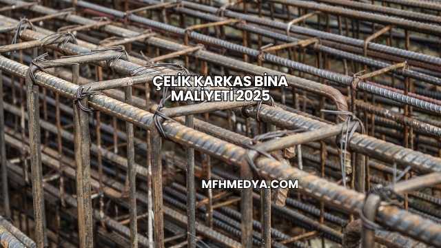 Çelik Karkas Bina Maliyeti 2025