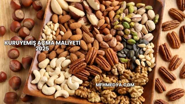 Kuruyemiş Açma Maliyeti 2025