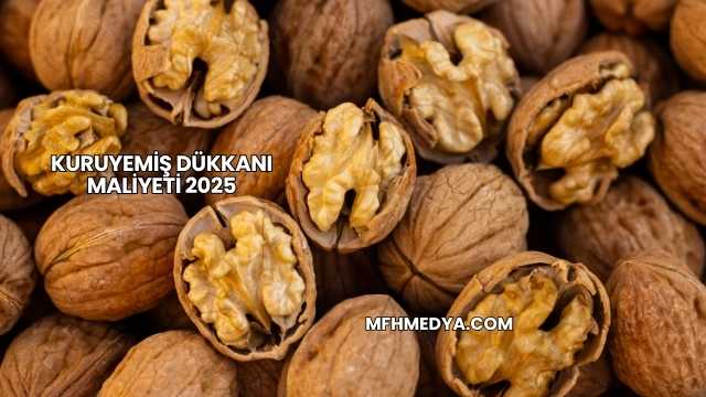 Kuruyemiş Dükkanı Maliyeti 2025